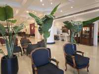 호캉스하기 좋은 부에노스아이레스 호텔 Scala Hotel Buenos Aires