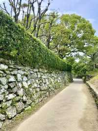 Relaxing Stroll in Tokushima 🏞️🌸