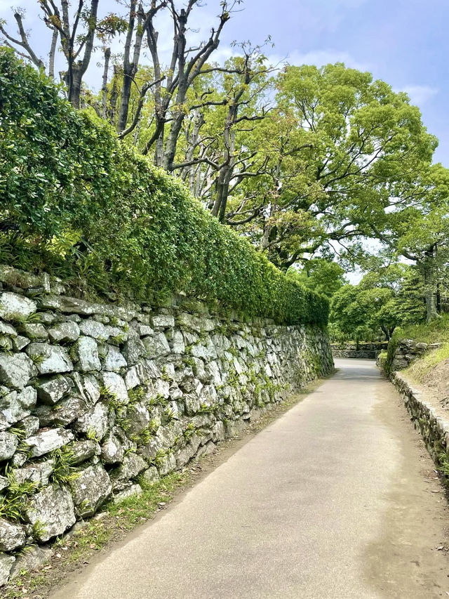 Relaxing Stroll in Tokushima 🏞️🌸