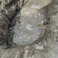 北海道でココだけ⁉️温泉が湧き出る砂場