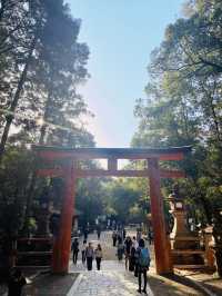 奈良｜春日大社的神鹿與浪漫 細數旗下神秘的壺神神社、拍子神社