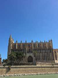 【スペイン】息を呑む美しさパルマ大聖堂⛪️