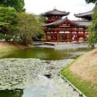 Uji Byodoin — A Stunning Millennium-Old Temple 🏯✨