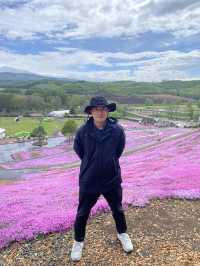 與芝櫻來場浪漫的約會吧