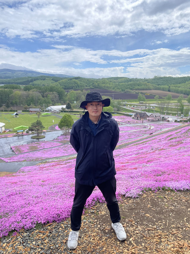 與芝櫻來場浪漫的約會吧