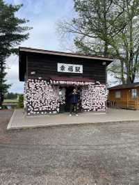 幸福車站，願天下有情人終成眷屬❤️