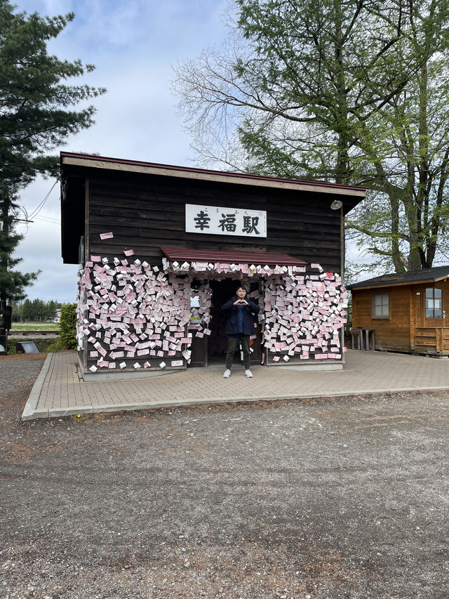 幸福車站，願天下有情人終成眷屬❤️