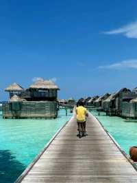 🌴 Gili Lankanfushi Maldives – Barefoot Bliss in Paradise