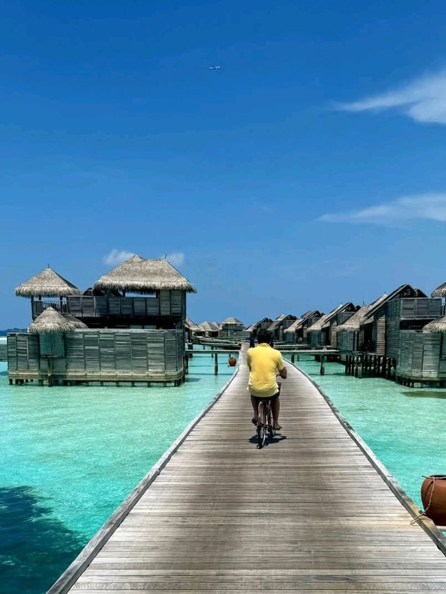 🌴 Gili Lankanfushi Maldives – Barefoot Bliss in Paradise