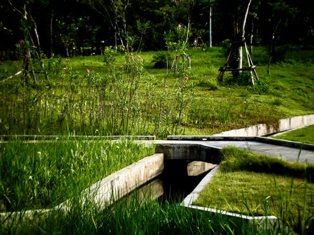Local Life + Lakeside Views at Benjakitti