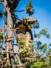 心を癒す場所、ルアンピーサム寺で平和なひとときを。🌿🙏