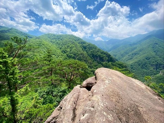 Dutasan: The Mountain That Pretends to Be Chill (But Isn’t)