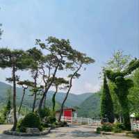 Belle Foret Farm