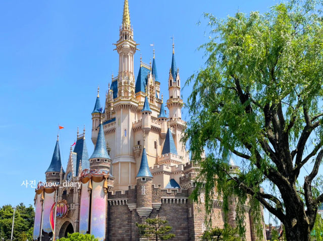 도쿄필수코스! 꿈과 마법의 도쿄 디즈니랜드! 💖🏰