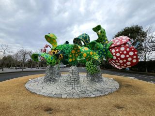 Kirishima Art Forest Kagoshima Museum Date