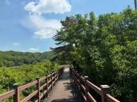Hidden Peace at Buso Damak