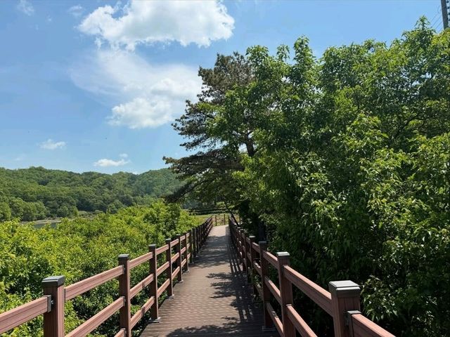 Hidden Peace at Buso Damak