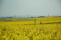 LUOPING IN SPRING 2025