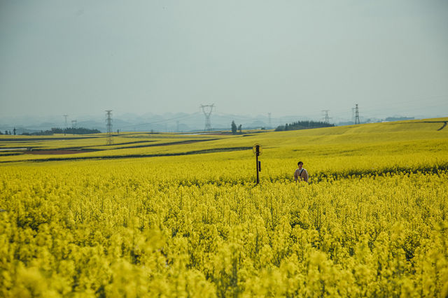 LUOPING IN SPRING 2025