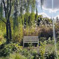 The Seoul Forest Park