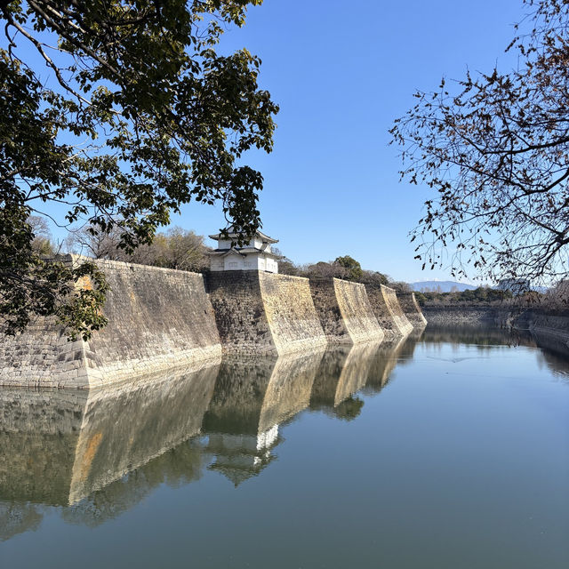 🏯 大阪雙寶深度遊：穿越時空的天守閣 vs 沉浸式歷史博物館！