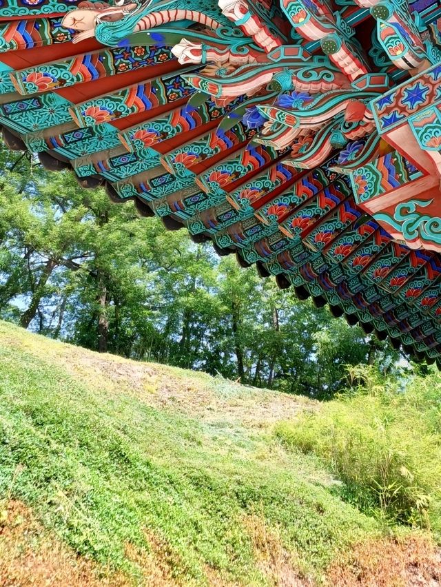 초록과 분홍이 어우러지는 힐링여행 🌸🌿