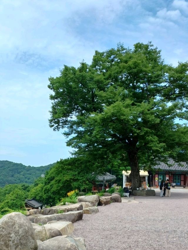 신기한 바위들과 만나는 힐링 사찰🌸