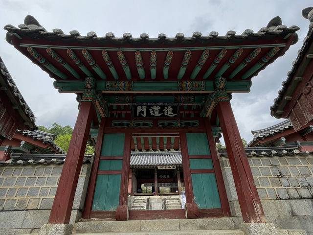 안동 |  📚 조선의 선비 정신이 깃든 곳, 도산서원