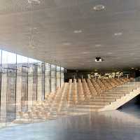 Denmark's Hidden Gem: The Danish Maritime Museum! 🚢⚓🇩🇰