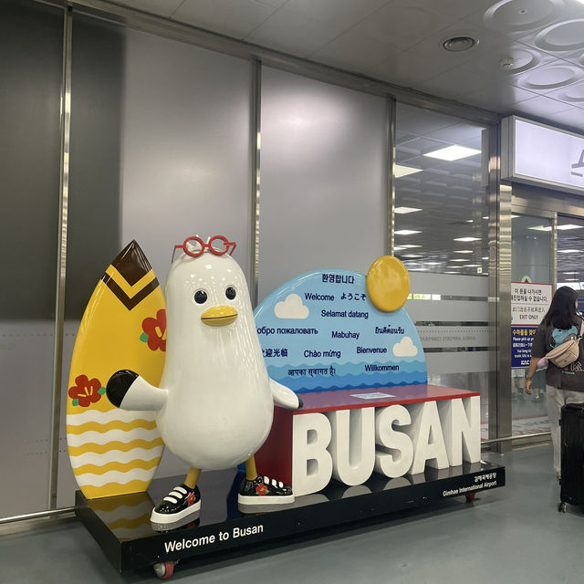 釜山1.5日大満足の旅🇰🇷