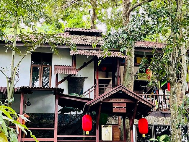 Ambong Rainforest Retreat