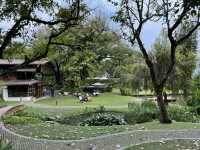 คาเฟ่ในสวน ฟีลปิกนิกกลางเมือง จ.เชียงใหม่