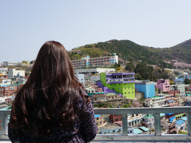 🏘 หมู่บ้านกัมชอน (Gamcheon Culture Village) 