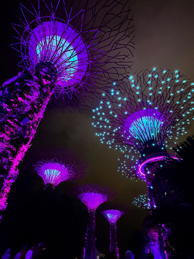 シンガポール🇸🇬トランジットのススメ