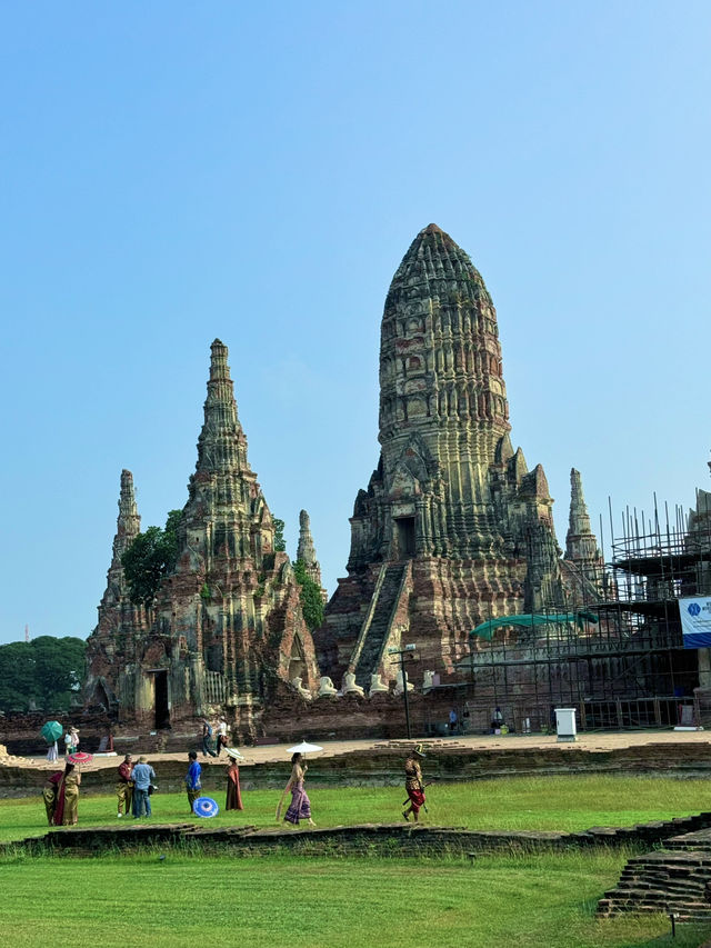 泰國大城包車一日遊 Sriayuthaya Lion Park  動物互動 
