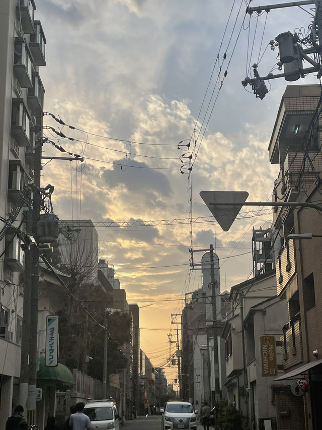 🇯🇵오사카 여행 오사카성과 덴노지공원 탐방기