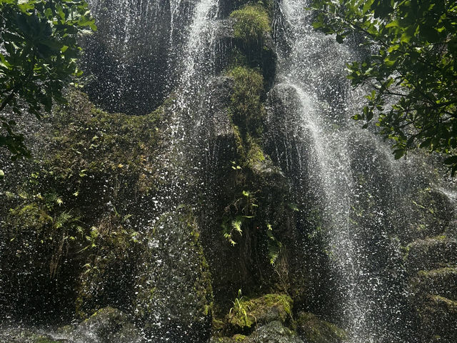 คาเฟ่ ที่อยู่บนดินในแดนดินสรวงสวรรค์