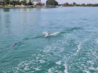 Getting peace in your discovery in Perth