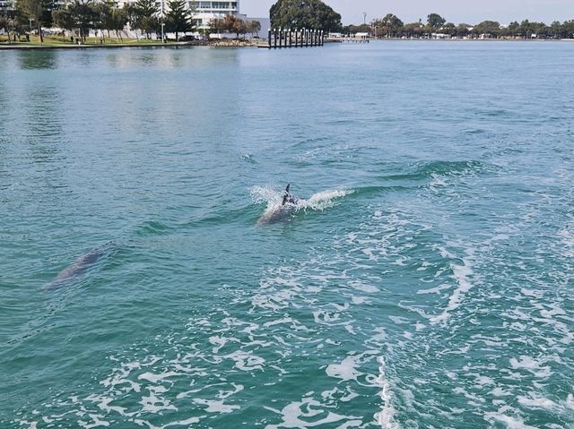 Getting peace in your discovery in Perth