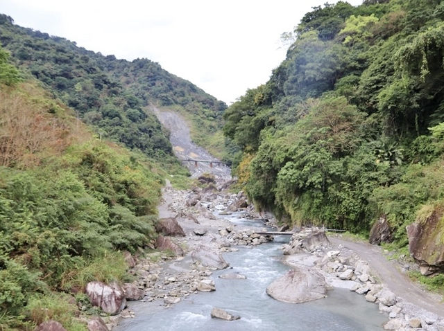 森林遊樂園區系列 PART1️⃣4️⃣
