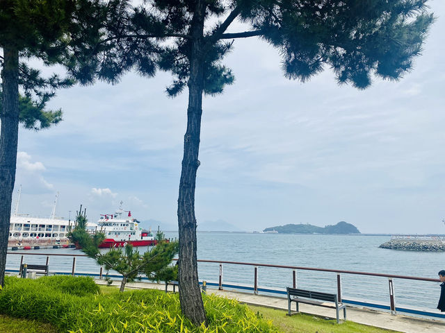 Yeosu EXPO Convention Center: Where Global Ambition Meets Coastal Splendor