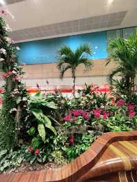 “Amazed by the Enchanted Garden at T2”