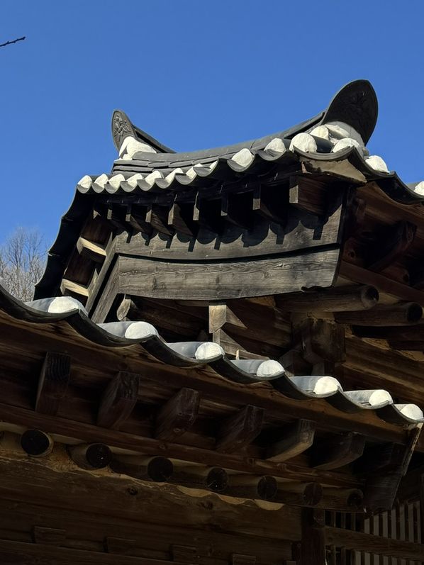 조선시대 감성 속으로! 한국민속촌에서 걷고 먹고 즐긴 하루코스