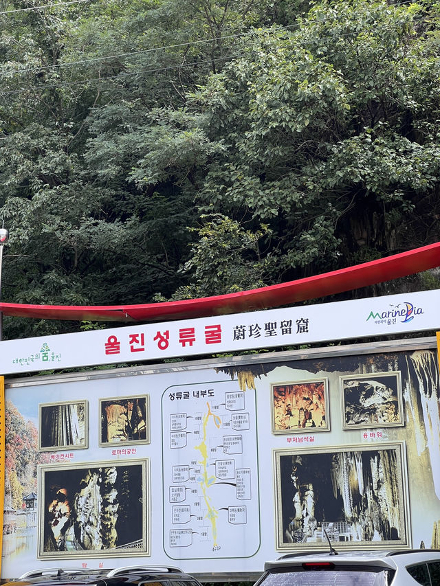 울진 성류굴 여행코스 추천❄️🔥