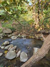 Riverside Bliss - Pet-Friendly Perfection!
