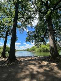 🌳Prospect Park 遊記｜布魯克林人的中央公園