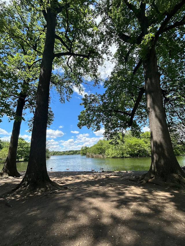 🌳Prospect Park 遊記｜布魯克林人的中央公園