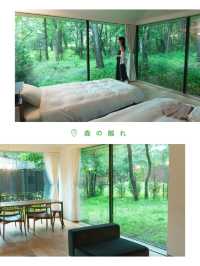 【軽井沢】＼まるで森の中／デザイン貸別荘🌿