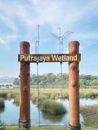 Nature’s Hidden Gem: Discover the Wild Beauty of Taman Wetland Putrajaya!