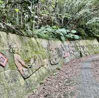 清泉步道休閒走